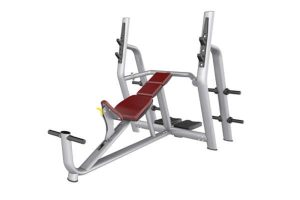Equipo de fitness AN59 deluxe upper bench press rack