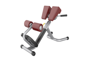 Machine de fitness AN31 tabouret romain